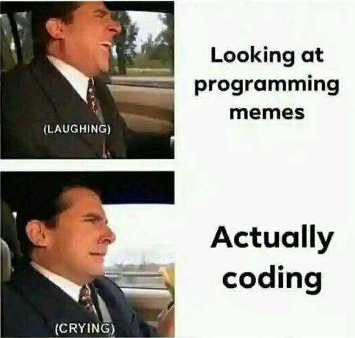 The Programmer's Emotional Rollercoaster