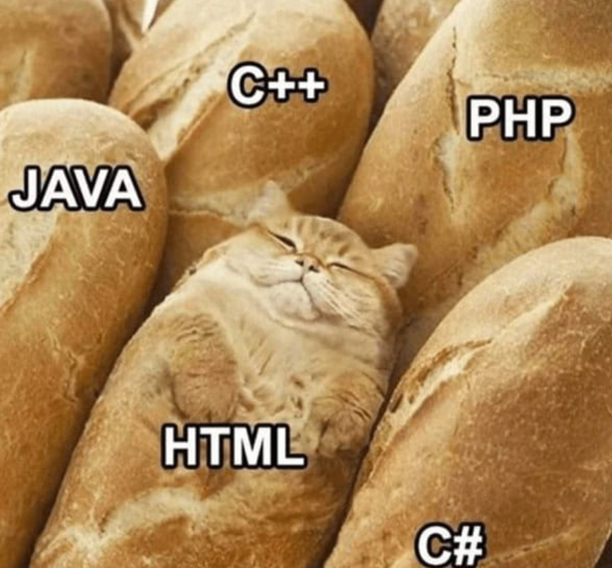 When You're Not Really A Programming Language But Still Vibin' With The Big Boys