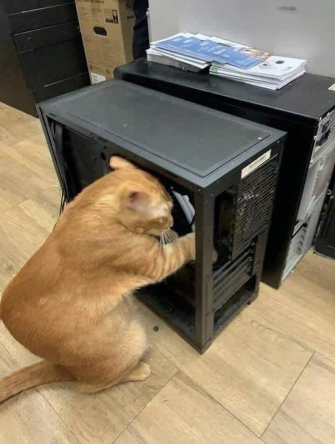 He's Upgrading Your RAM