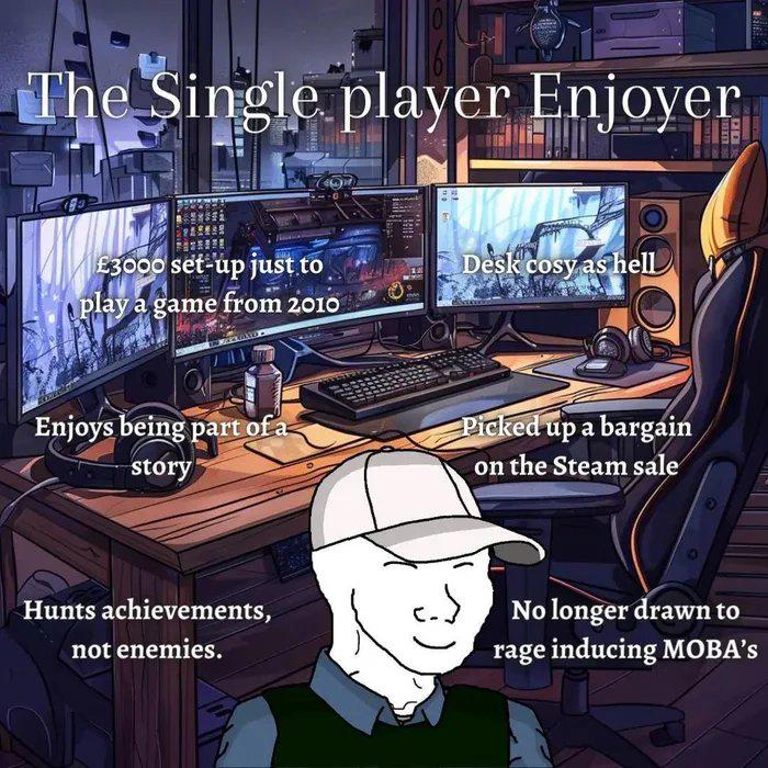 The Single Player Enjoyer