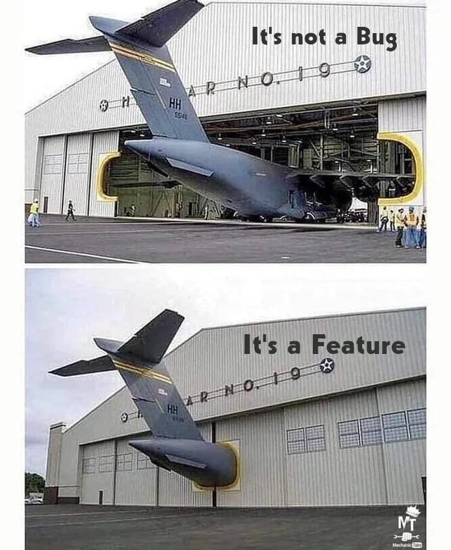 It's Not A Bug, It's A Feature