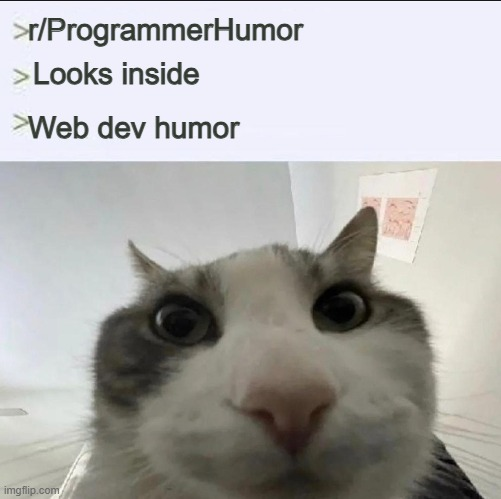 Y'all Are Web Devs Right?