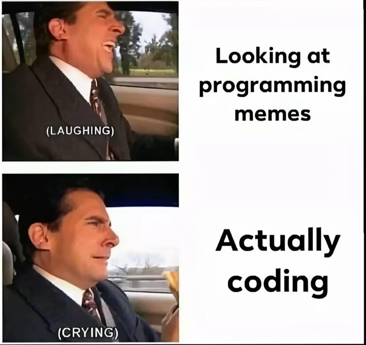 The Programmer's Emotional Rollercoaster