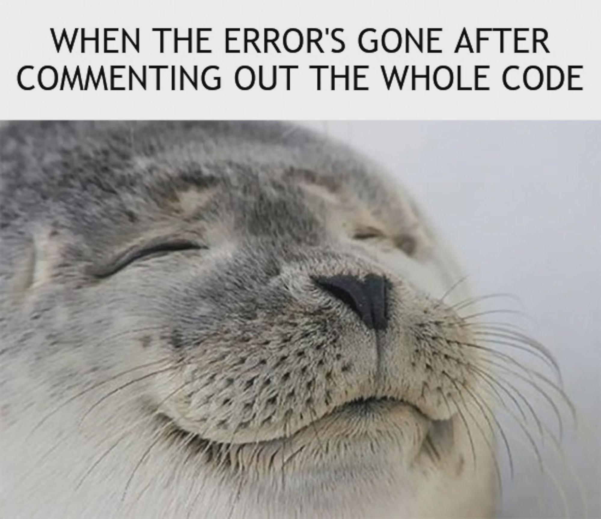 No More Errors, Finally Some Peace
