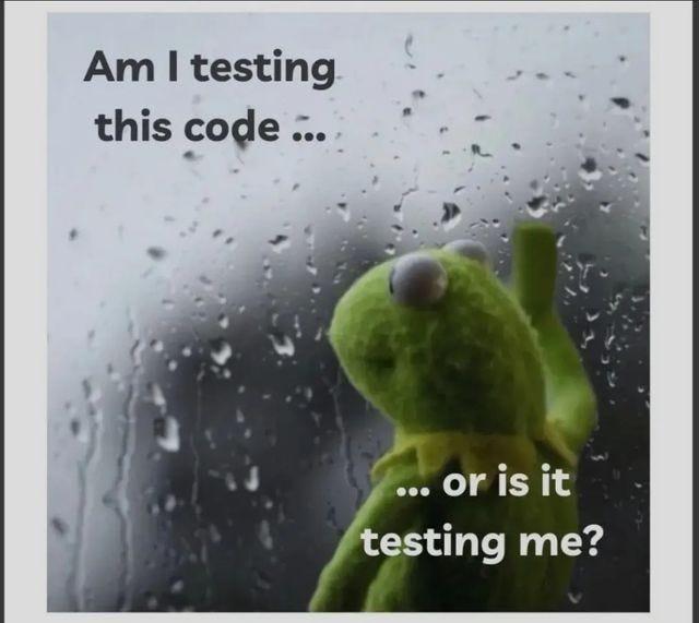 Am I Testing This Code... Or Is It Testing Me?