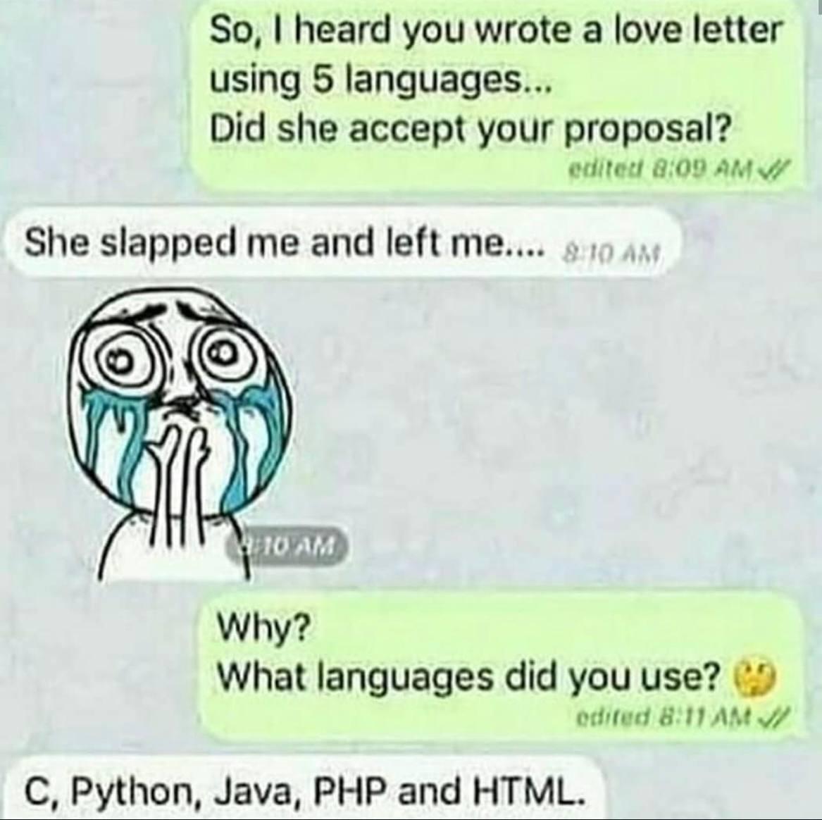 That's What Programmers Know About Languages