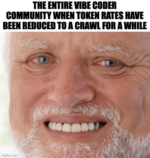 The Entire Vibe Coder Community When Token Rates Have Been Reduced