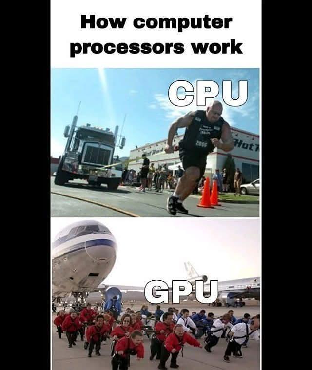 Brute Force vs. The Swarm