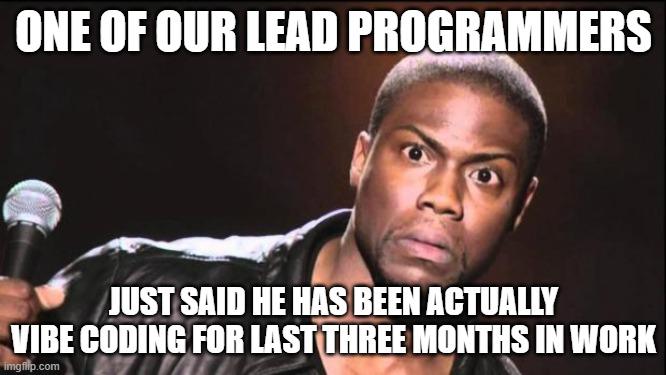One Of Our Lead Programmers
