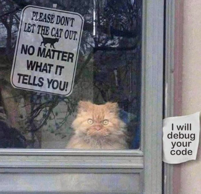 Cat Debugs For Life
