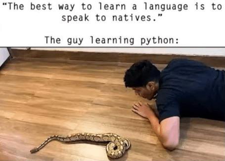Do You Speak Python?
