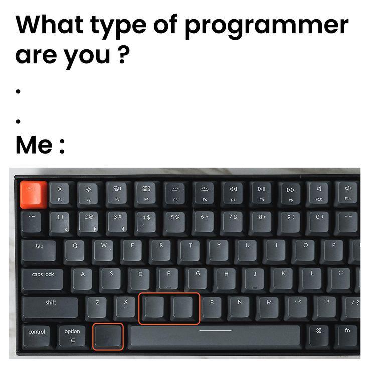 What Type Of Programmer Are You?
