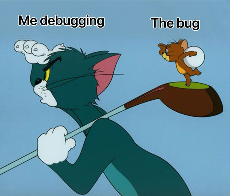 The Elusive Bug Always Rides Your Debugging Hammer