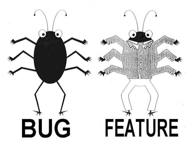 I Found How Bug And Feature Look Like