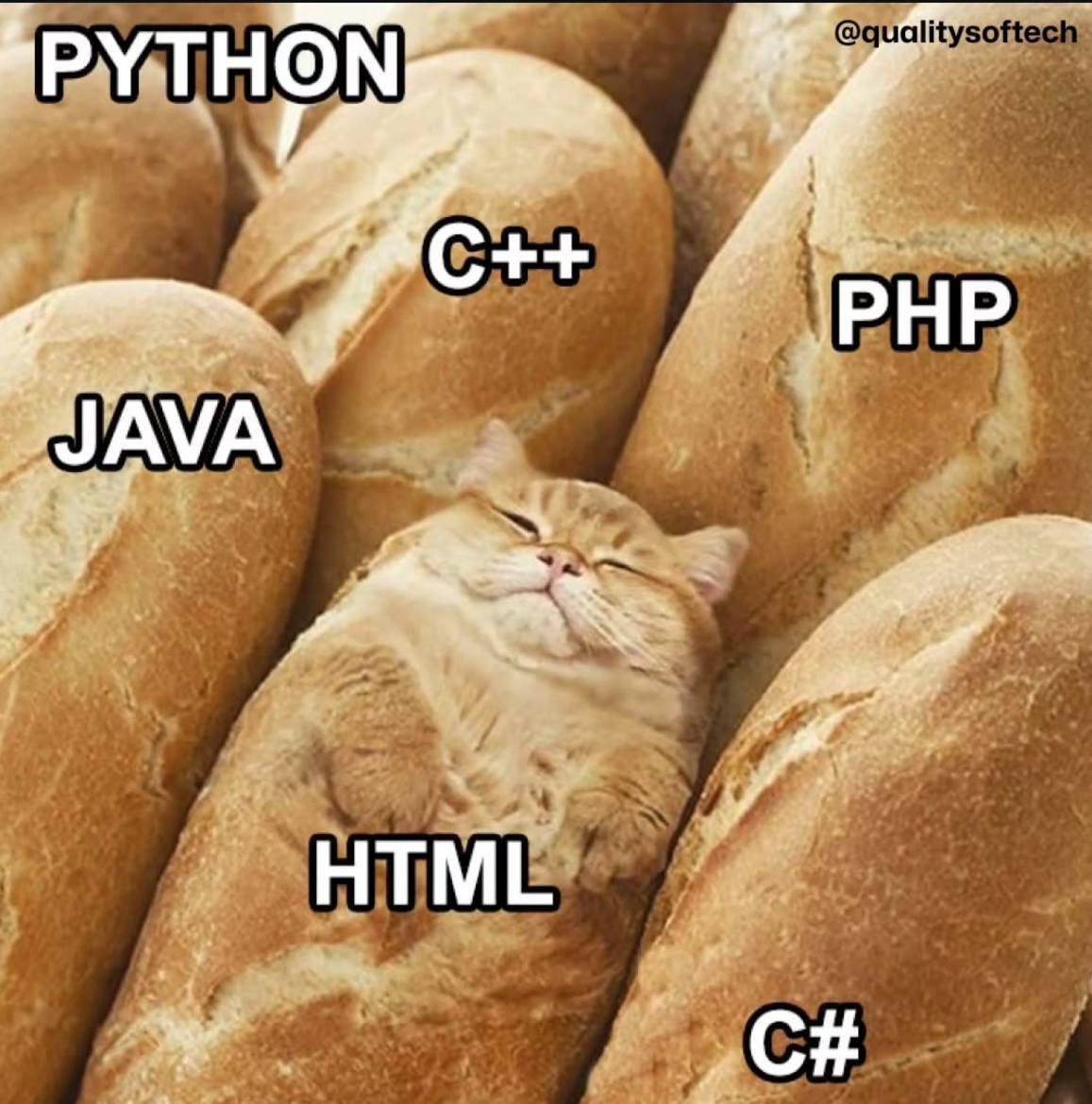 HTML Tryna Fit In