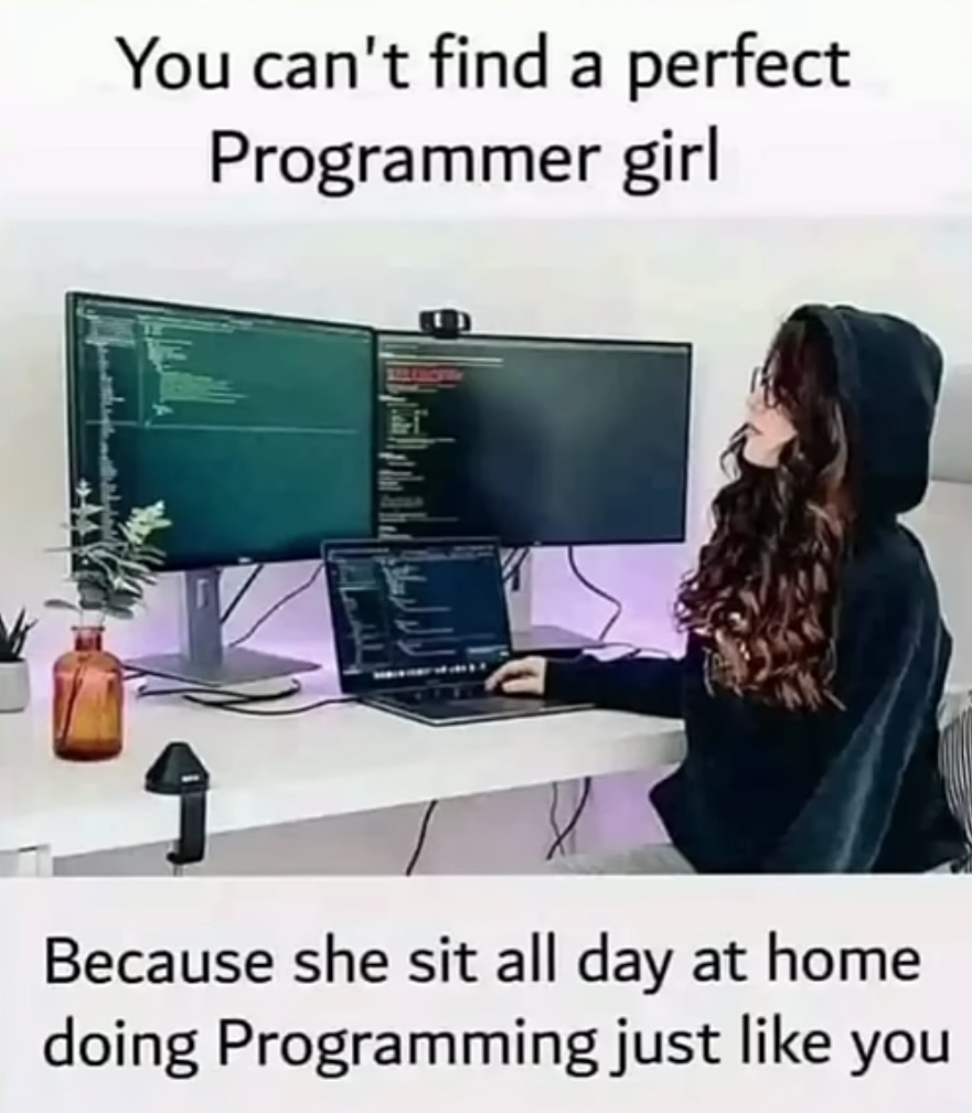 You Can't Find A Perfect Programmer Girl
