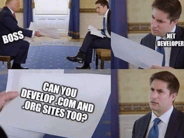 Domain Confusion: The .NET Developer's Nightmare