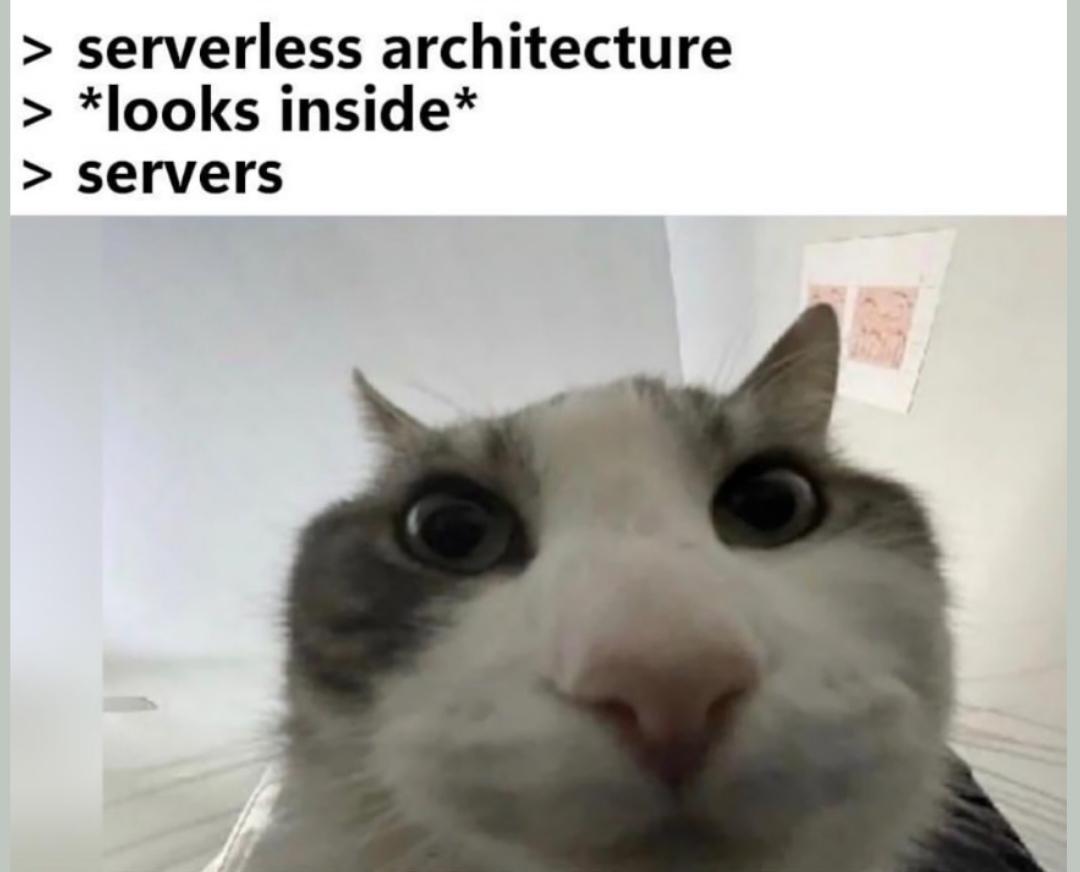 The Serverless Illusion