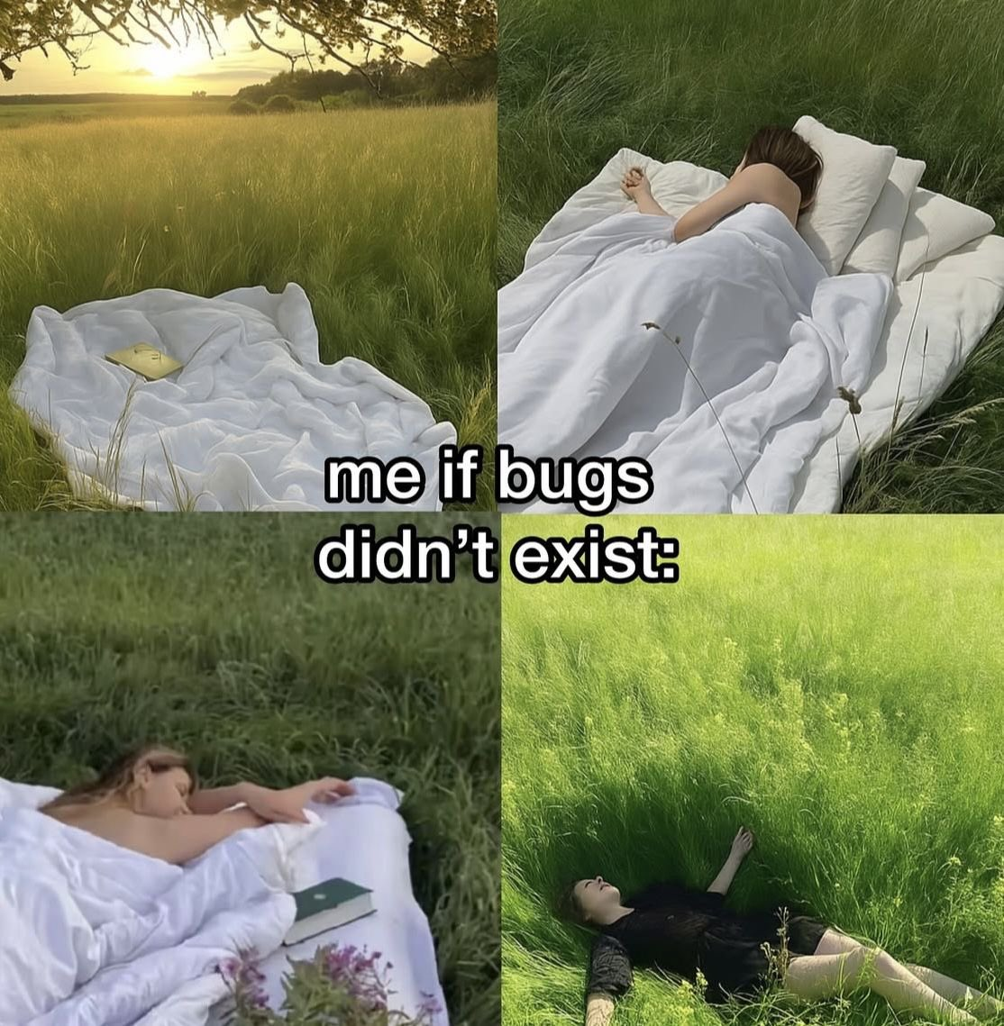A Bug-Free Paradise