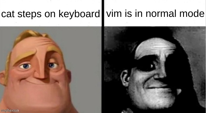 Don't Cat The Vim