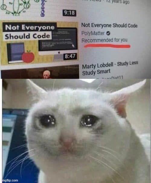 Me After Crying Because Of 200 Errors In 2 Lines