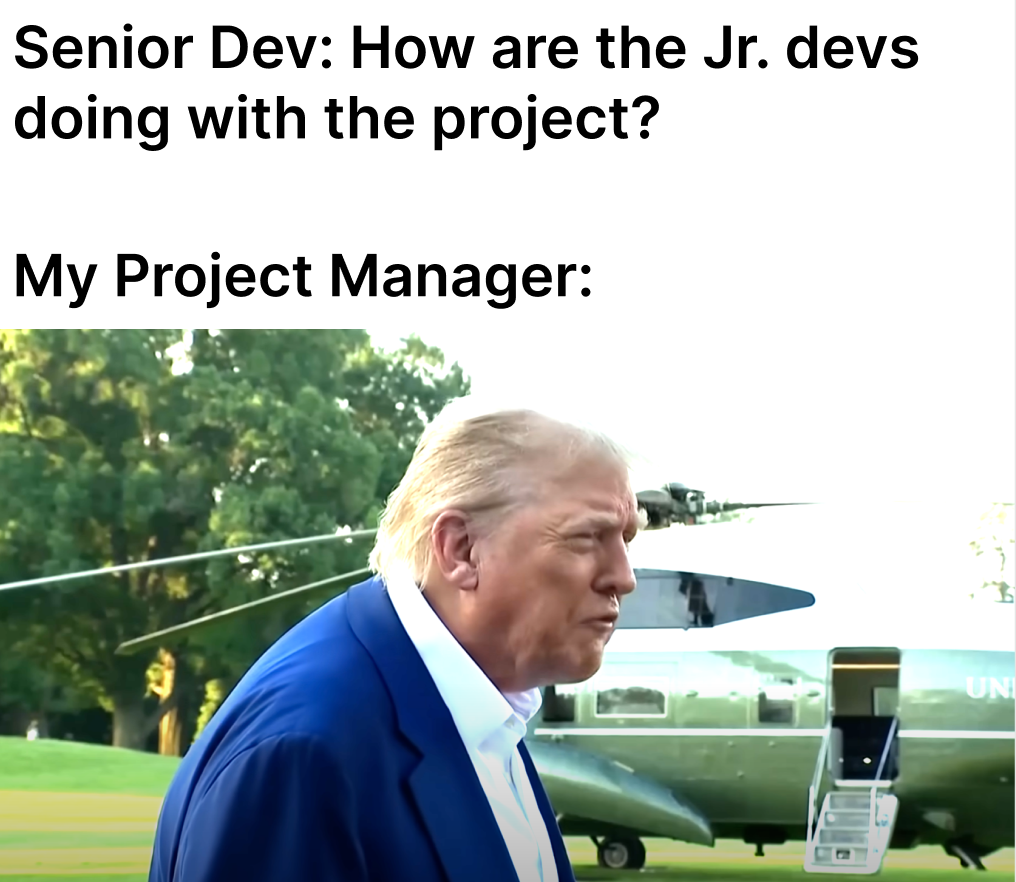 Project Manager Has No Clue What's Happening