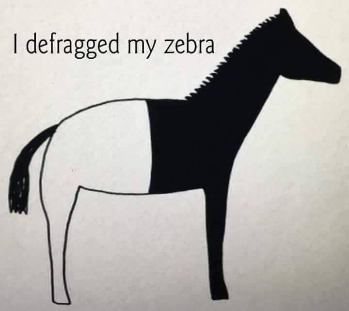I Defragged My Zebra