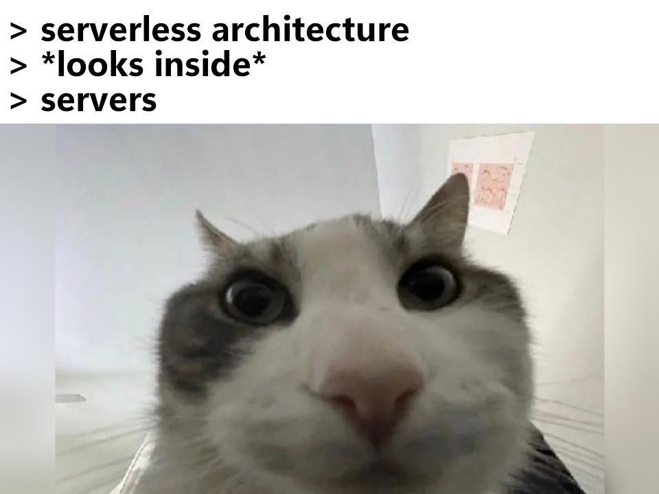 Server Go Brrr Behind The Serverless Curtain