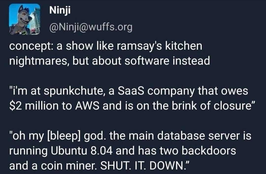 Ramsay's Kitchen Nightmares, But For Software Development