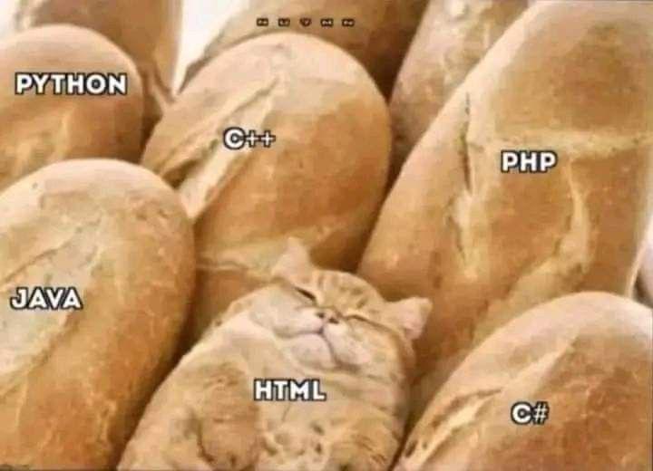 The Programming Language Bakery