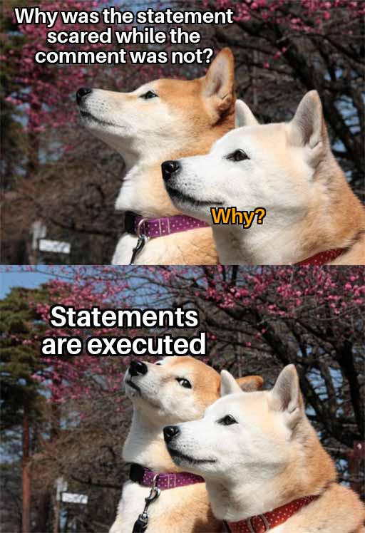 Why Was The Statement Scared While The Comment Was Not?