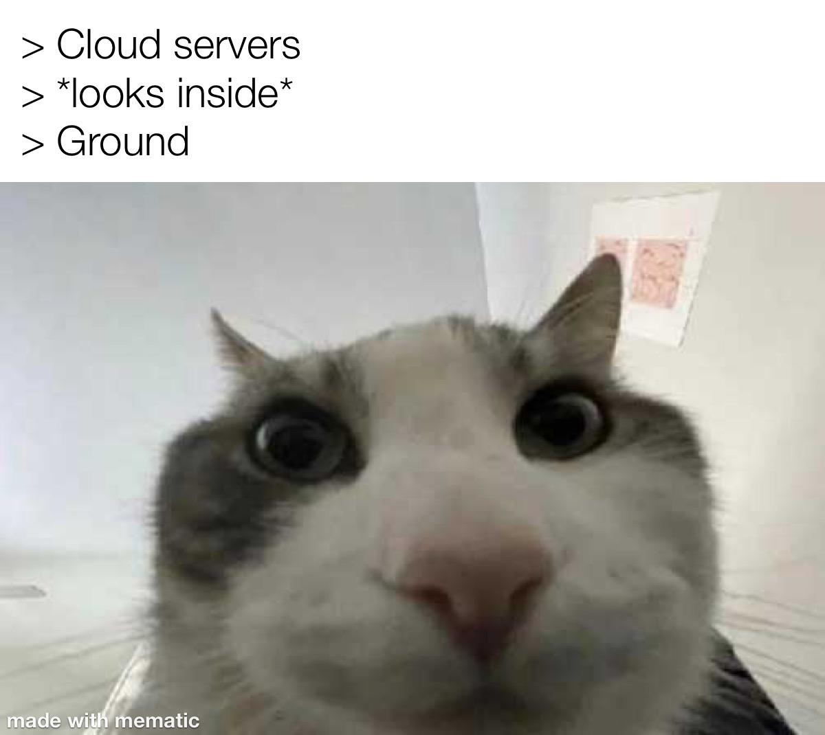 We've Been Bamboozled