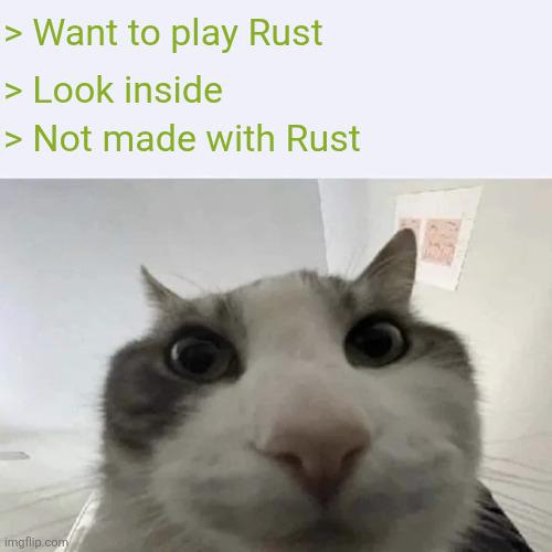 Why Not Made With Rust?