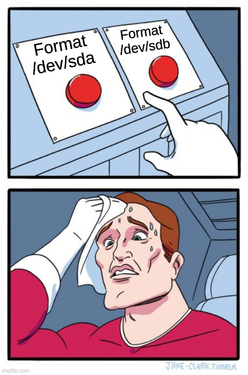 Formatting External Disks On Linux Without Wiping Own Machine