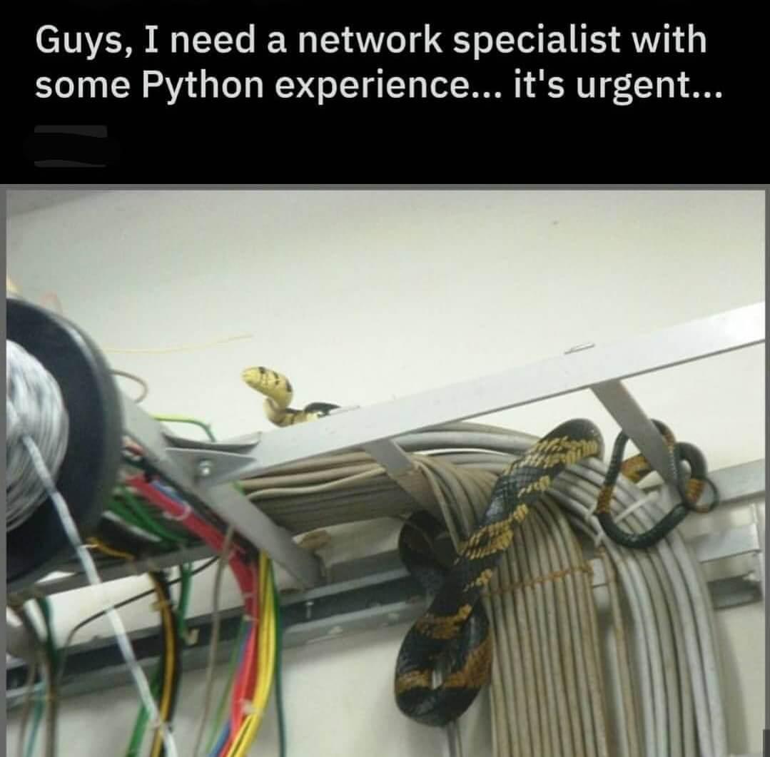 Python Networking Specialist: No Experience With Code Required