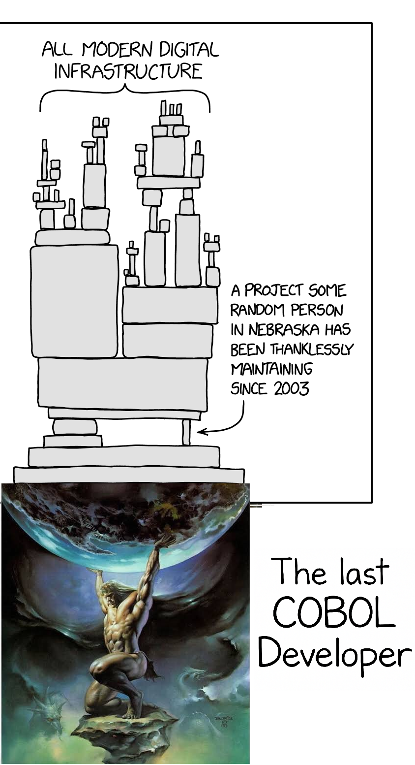 The Last COBOL Developer Pic X(30)
