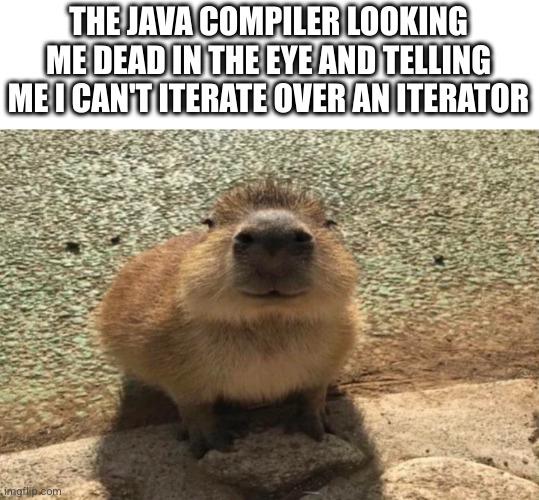The Java Compiler Looking Me Dead In The Eye