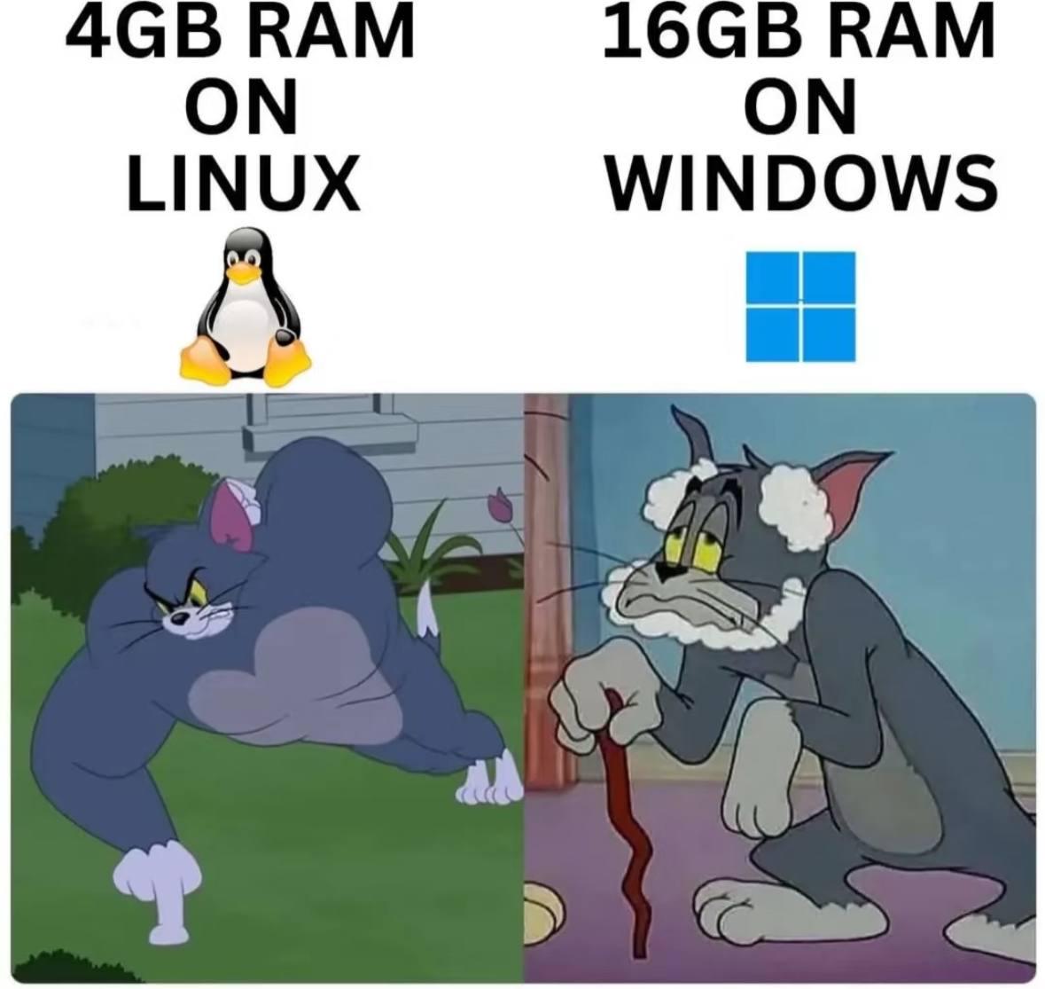 4GB RAM On Linux Vs 16GB RAM On Windows