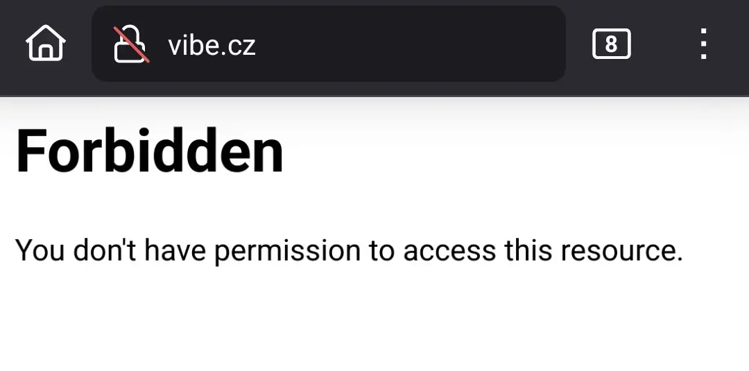 I Failed The Vibe Czech