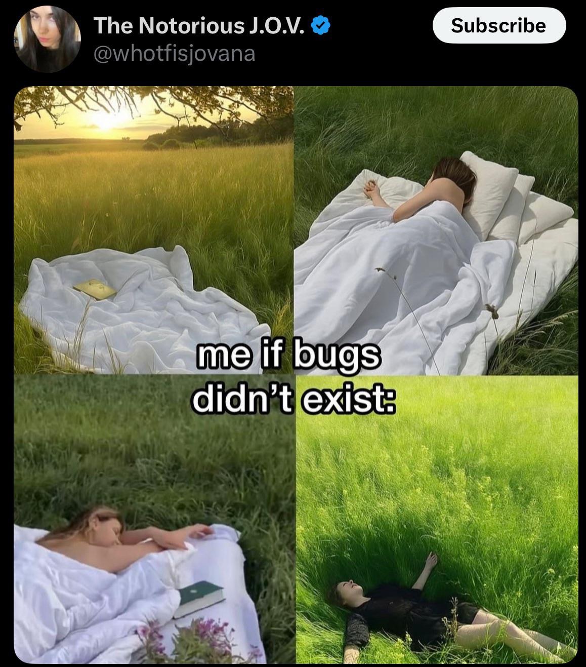 Living Life In Peace (Without Bugs)