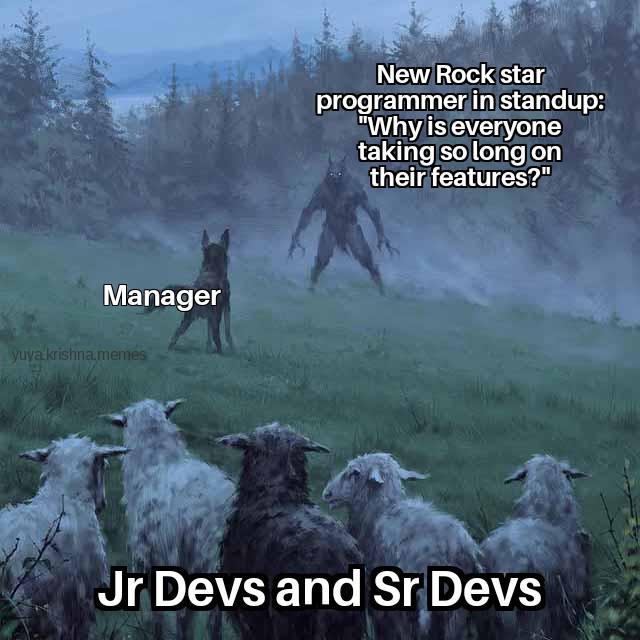 When The New Dev Hasn't Met Reality Yet