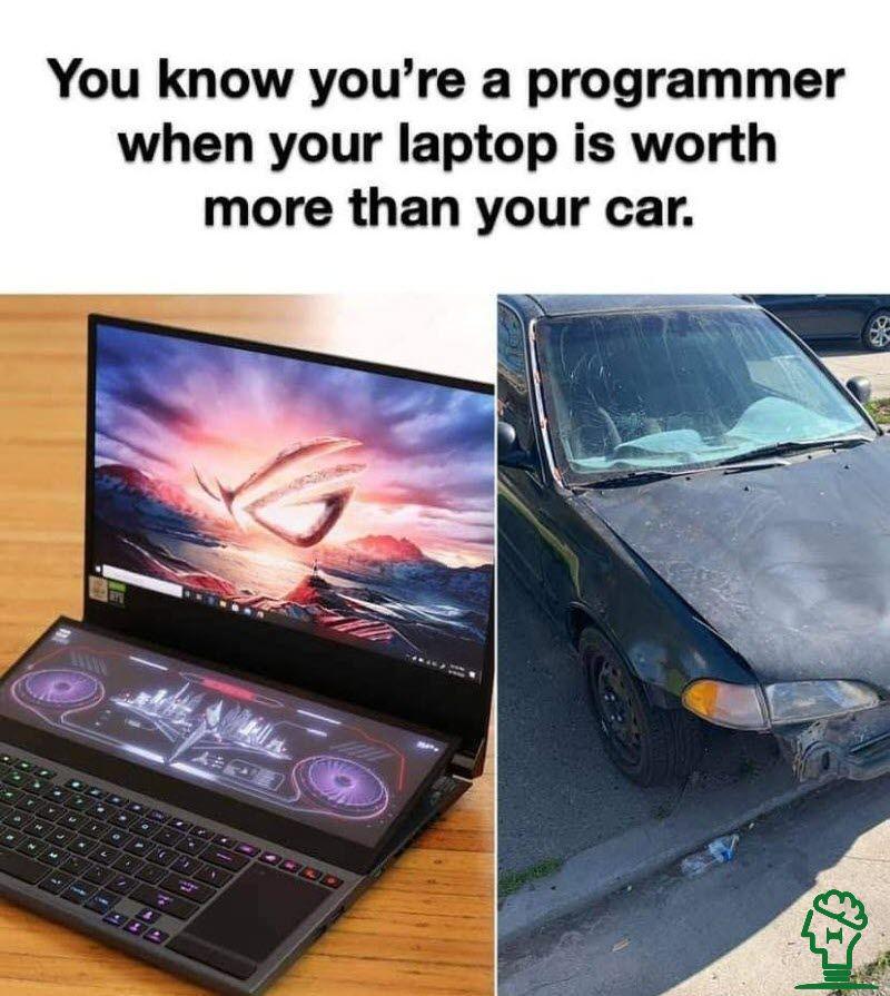 The Real Programmer's Investment Strategy