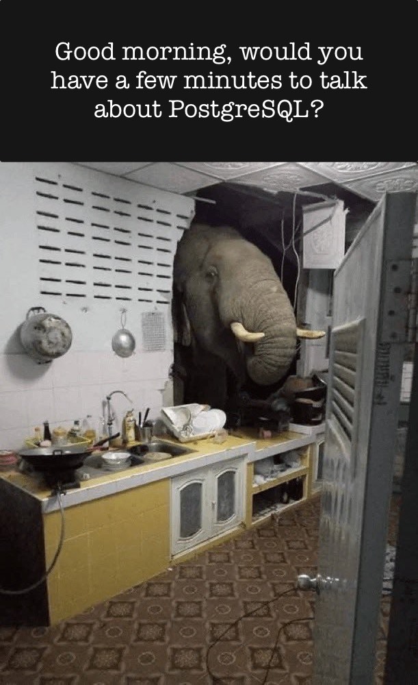 The Elephant In The Room