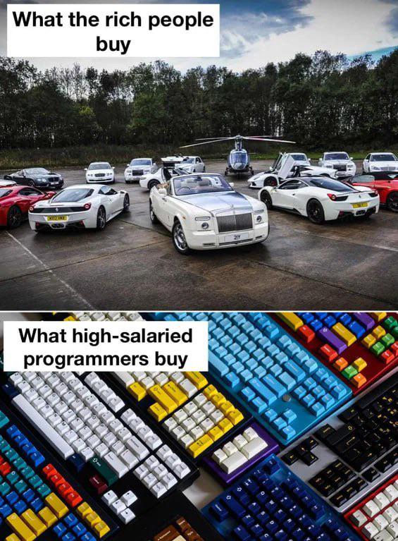 What High-Salaried Programmers Really Buy