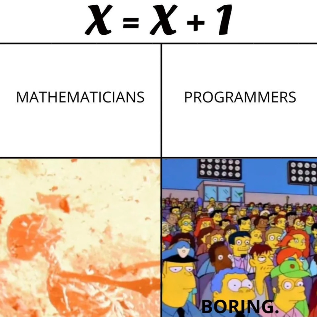 Mathematicians Vs Programmers