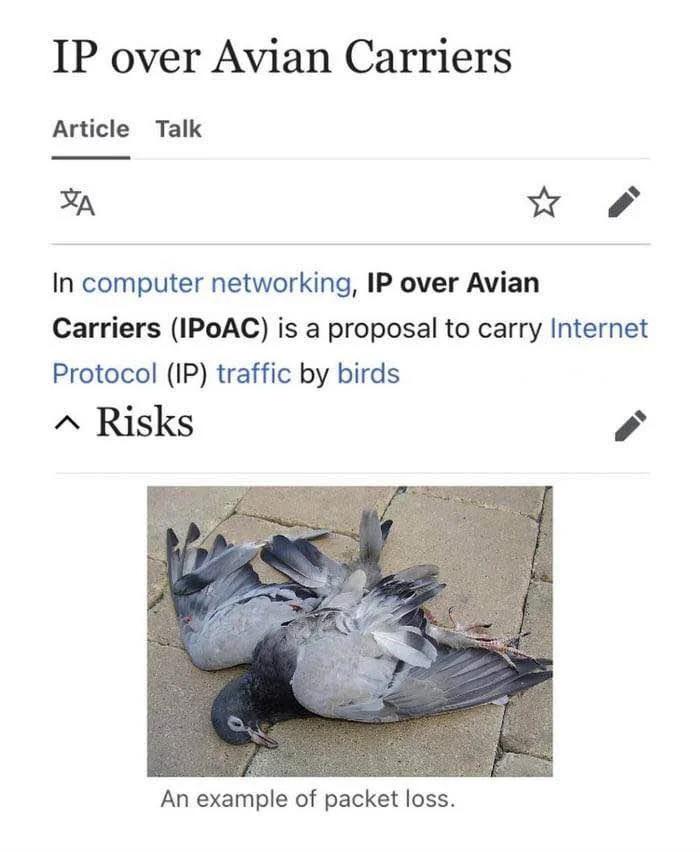 IP Over Avian Carriers: Packet Loss