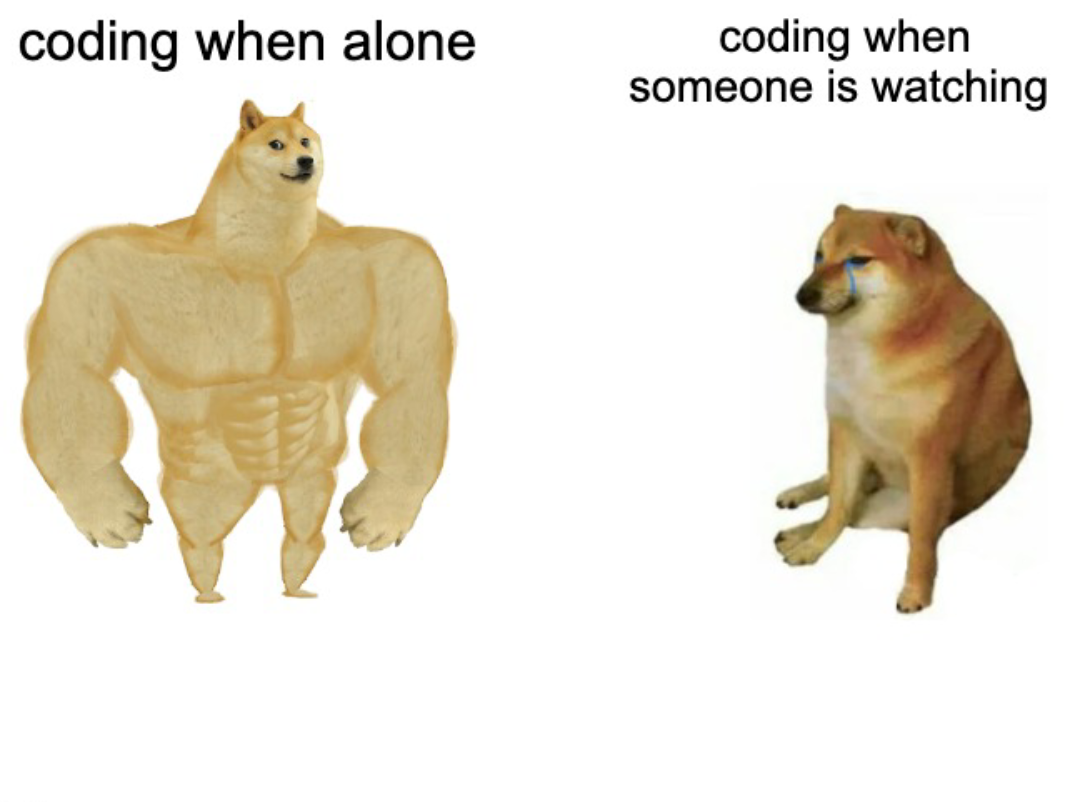 The Observer Effect In Programming