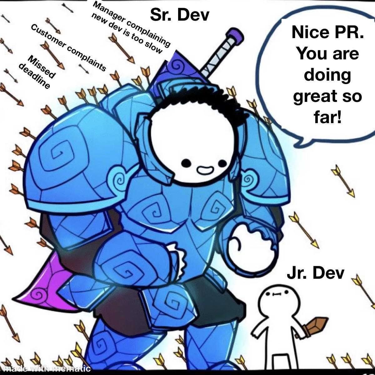 Never Forget That One Sr Dev