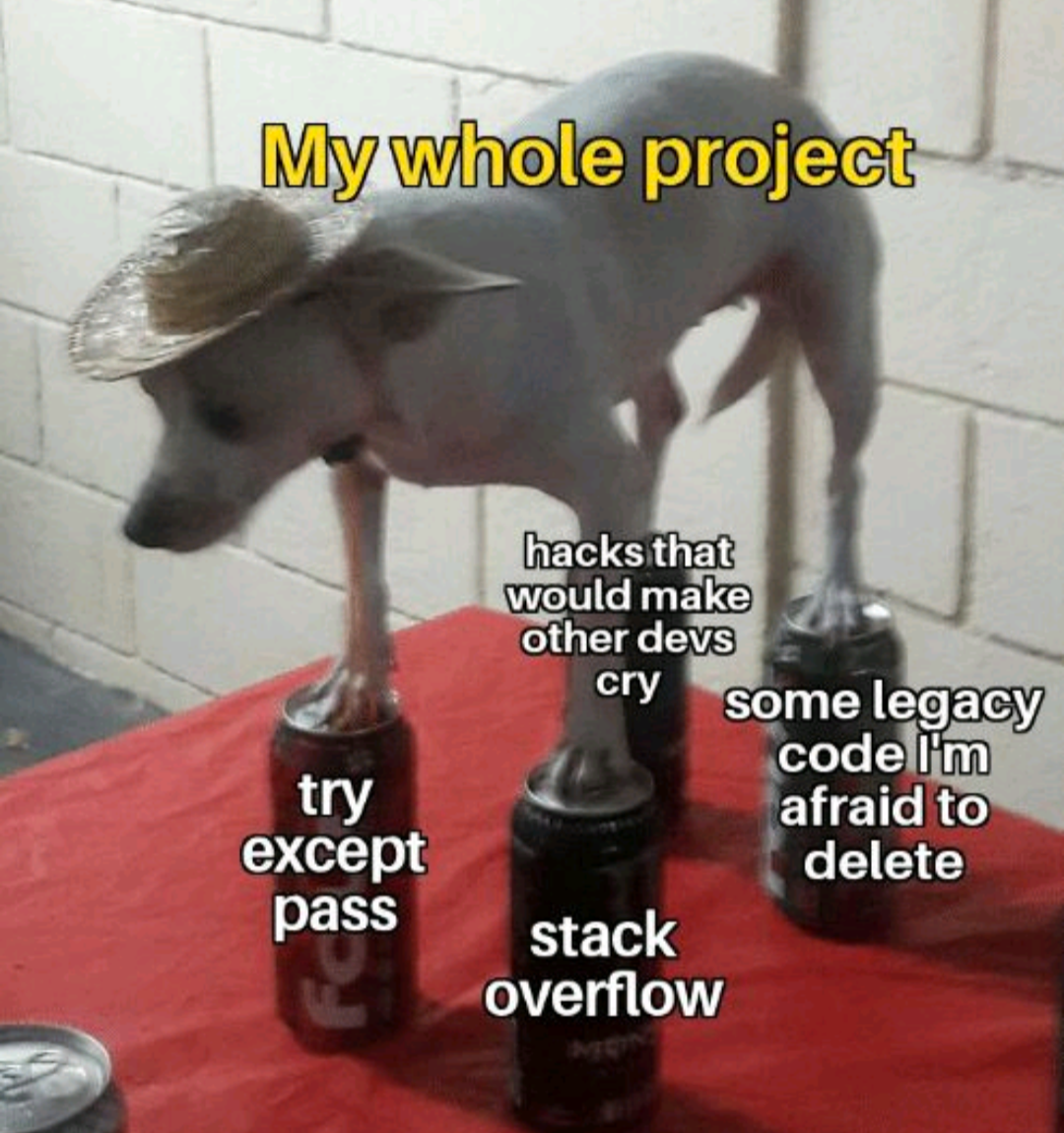 The Project I Was Hired For After They Fired The Entire Previous Team