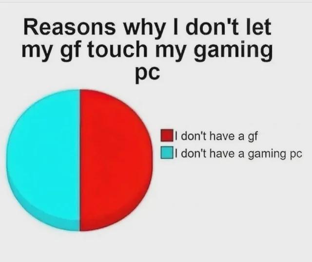 The Programmer's Paradox: Gaming PC vs Girlfriend